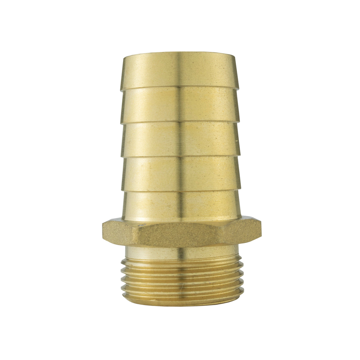 Brass Hose Tail Adapter – 25mm Barb × ¾″ BSP Male