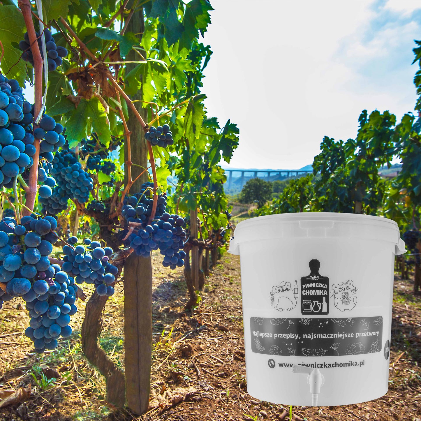 Home Brew Bucket 30L with Tap