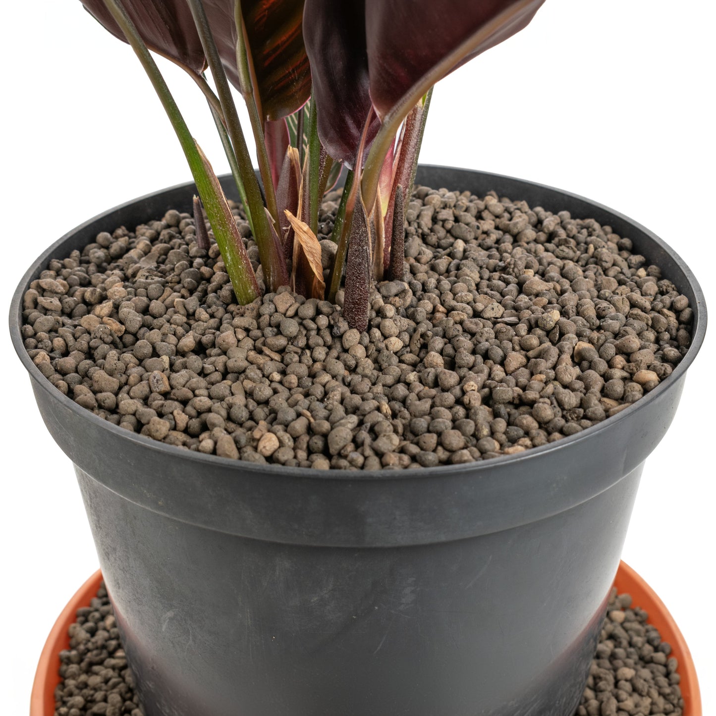 Expanded Clay Aggregate, Hydroponic Plant Growing Pebbles, Grade 1-4mm