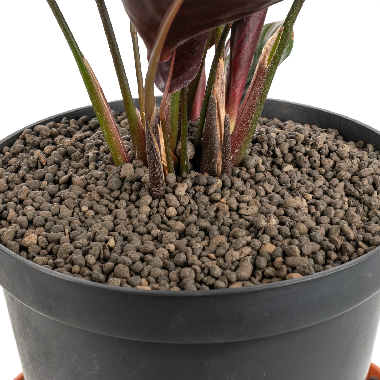 Expanded Clay Aggregate, Hydroponic Plant Growing Pebbles, Grade 1-4mm