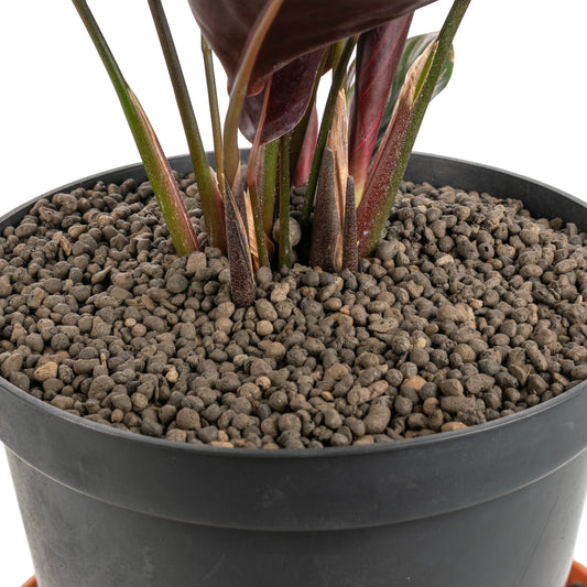 Expanded Clay Aggregate, Hydroponic Plant Growing Pebbles, Grade 1-4mm