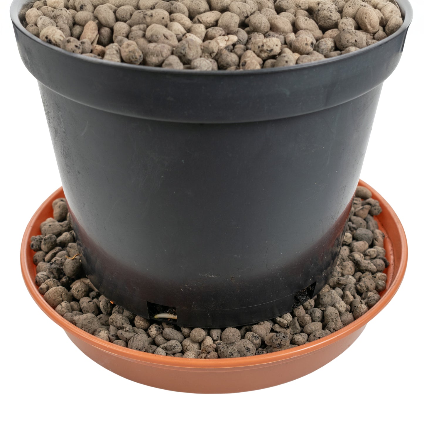 Expanded Clay Aggregate, Hydroponic Plant Growing Pebbles,Grade 4-8mm