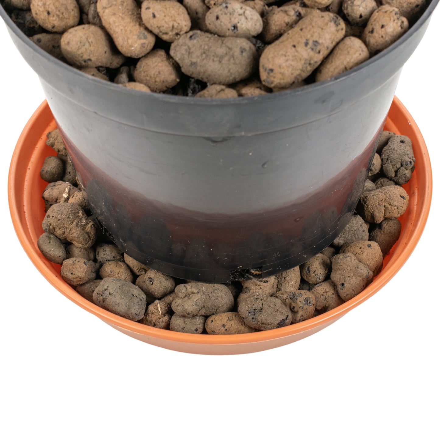 Expanded Clay Aggregate, Hydroponic Plant Growing Pebbles, Grade 8-16mm