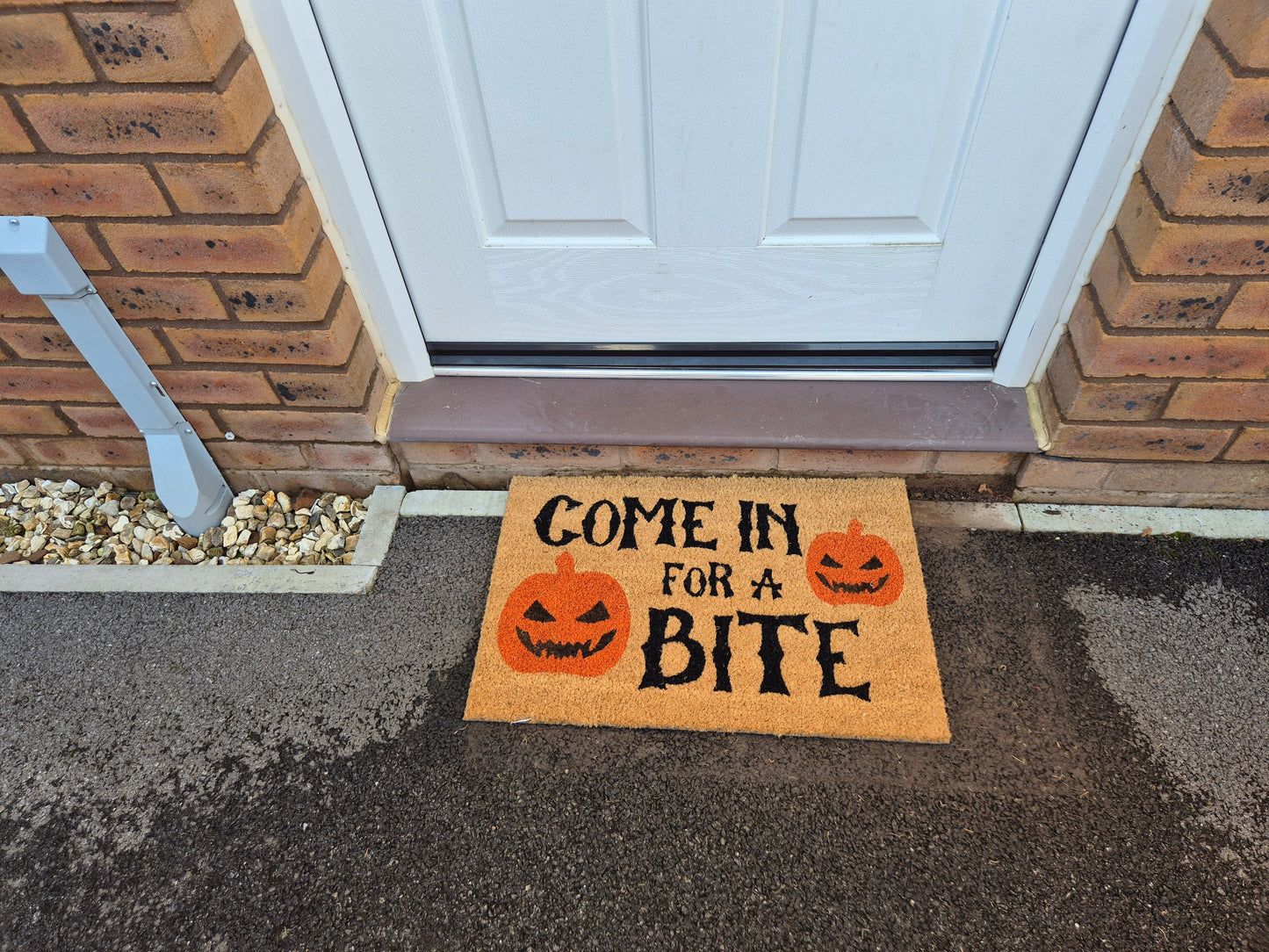 'Come In For A Bite' Coir Fibre Doormat with Rubber Backing (60cm x 40cm)