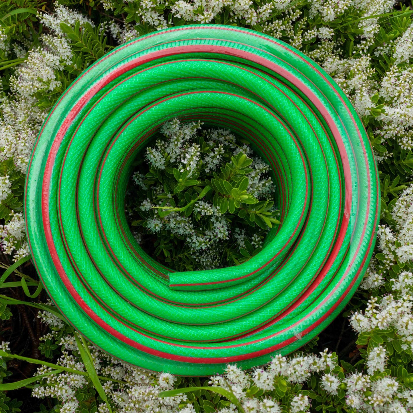 Green 6-Layer Heavy Duty 1/2" Hose Pipe (1m - 100m)