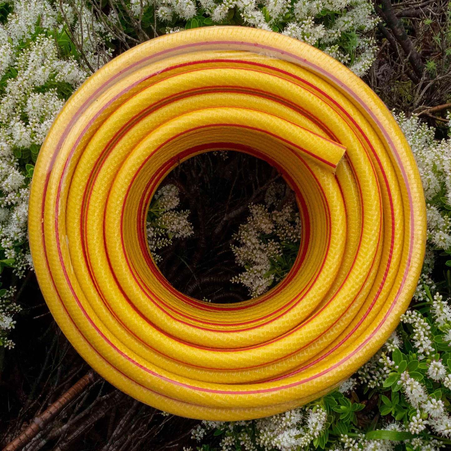Yellow 6-Layer Heavy Duty 1/2" Hose Pipe (1m - 100m)