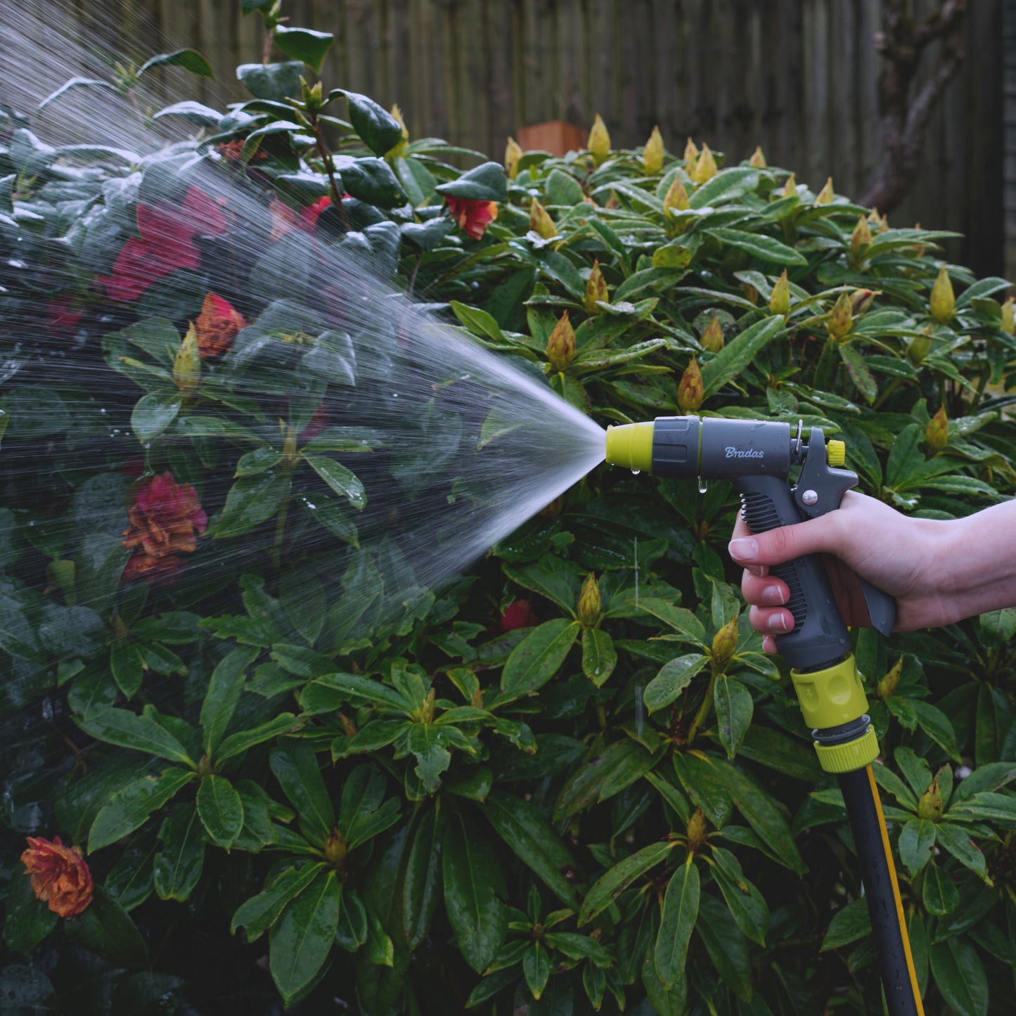 Hose Gun Water Sprayer Single Adjustable Jet (Lime/Grey)