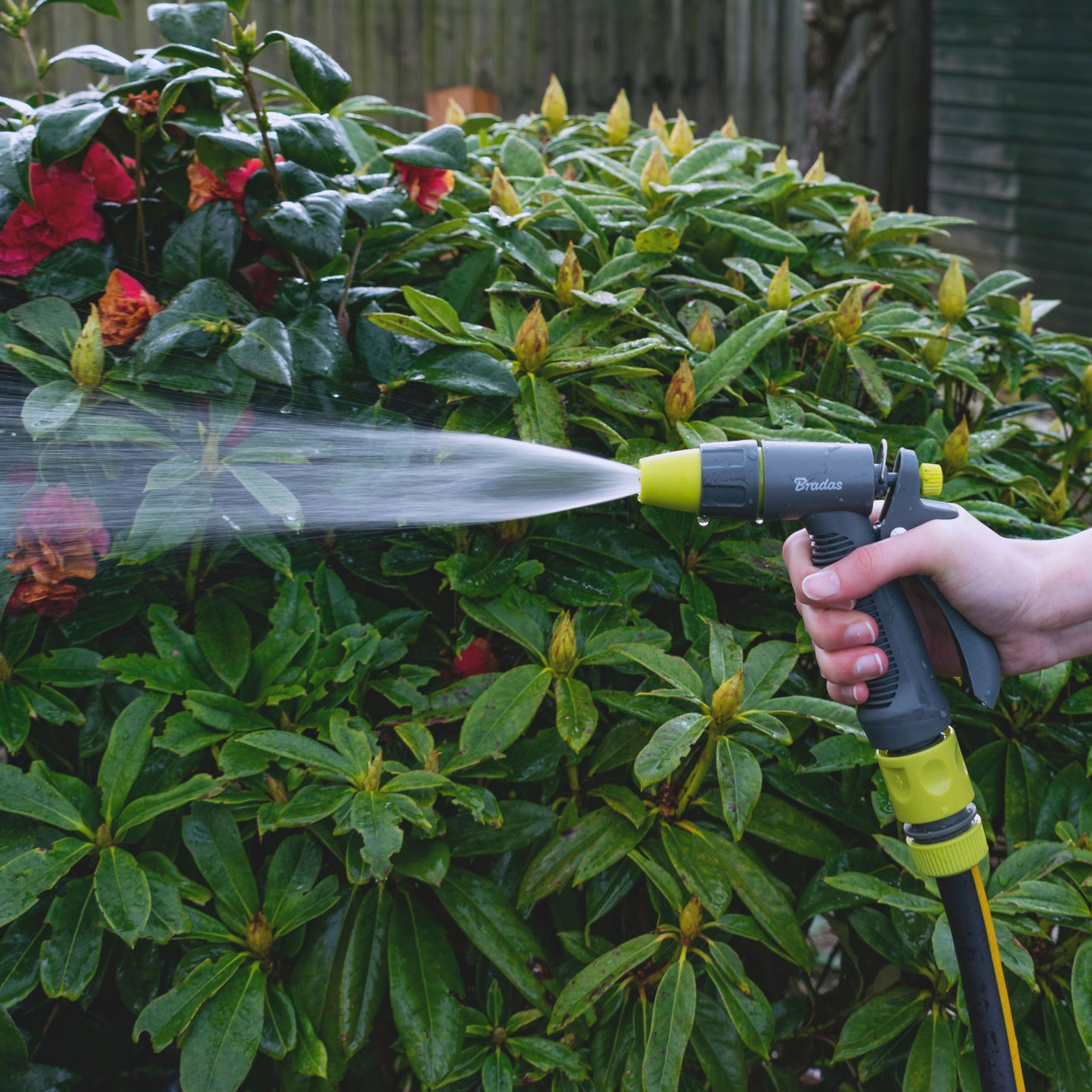 Hose Gun Water Sprayer Single Adjustable Jet (Lime/Grey)