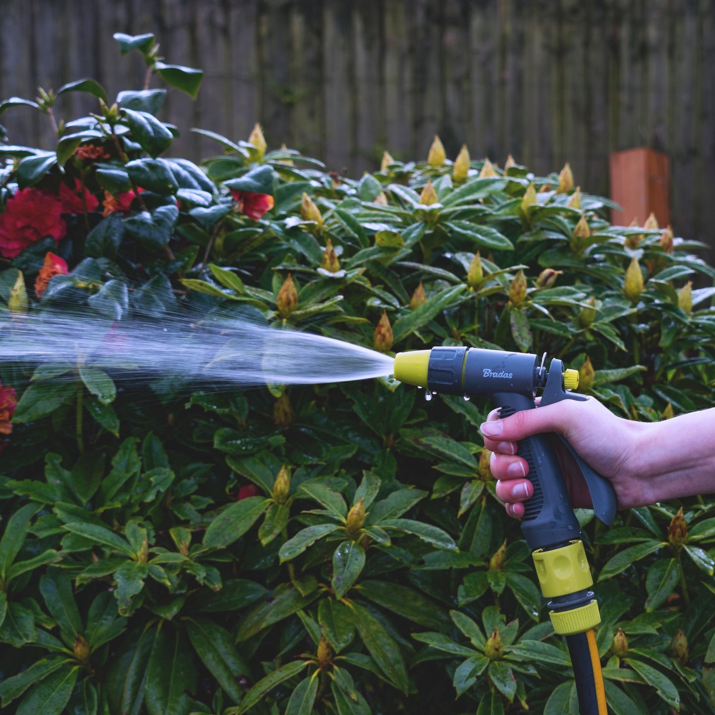 Hose Gun Water Sprayer Single Adjustable Jet (Lime/Grey)