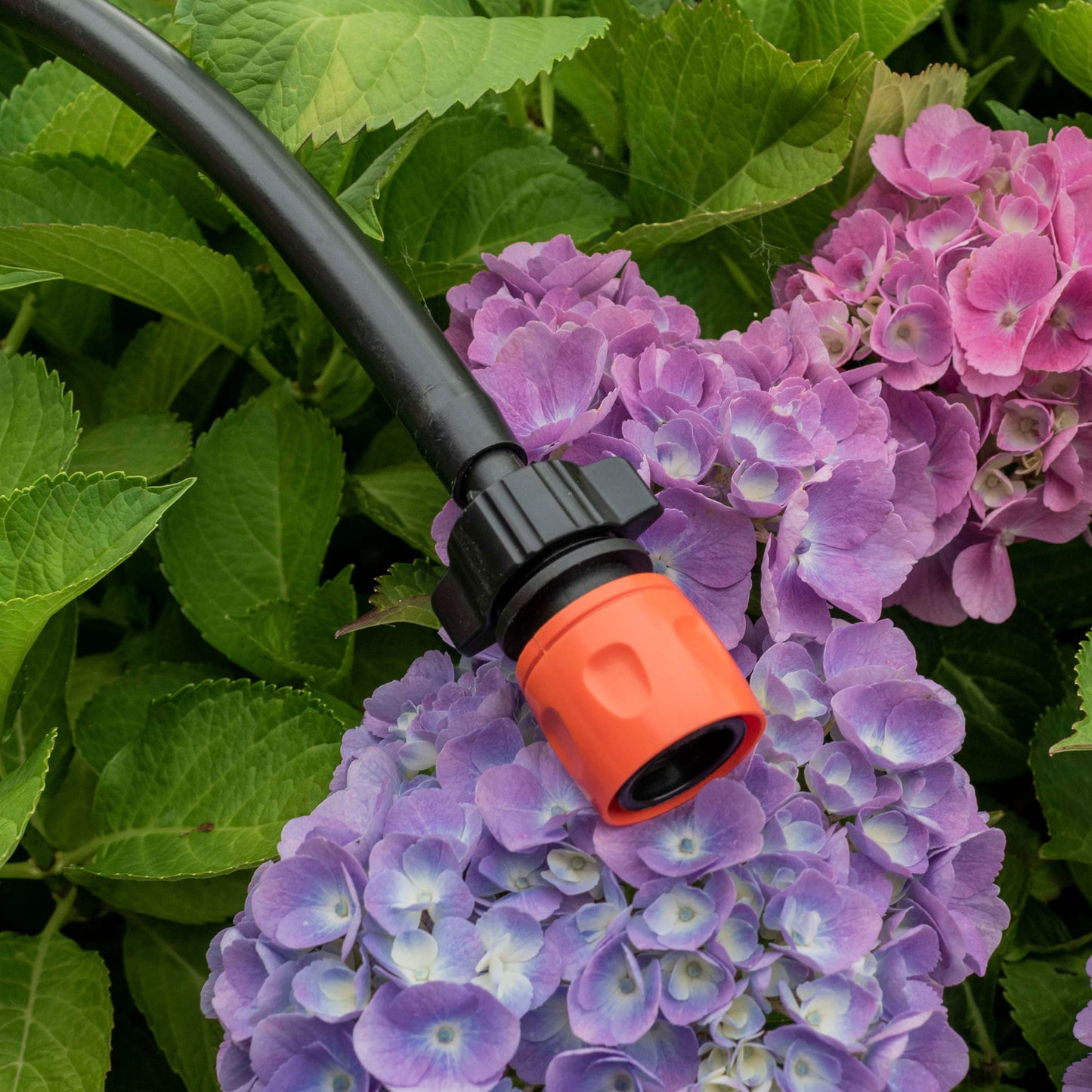Female Hose Connector with 13mm Hose Barb