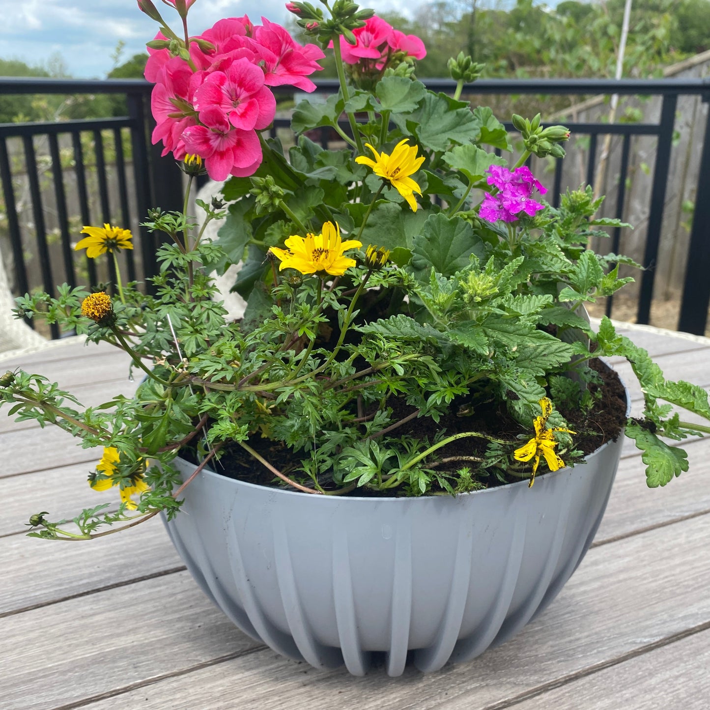 Mira Bowl Plant Pot with Insert and Drainage Hole, Grey