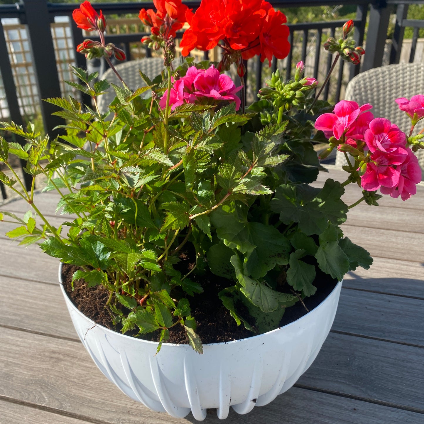 Mira Bowl Plant Pot with Insert and Drainage Hole, White