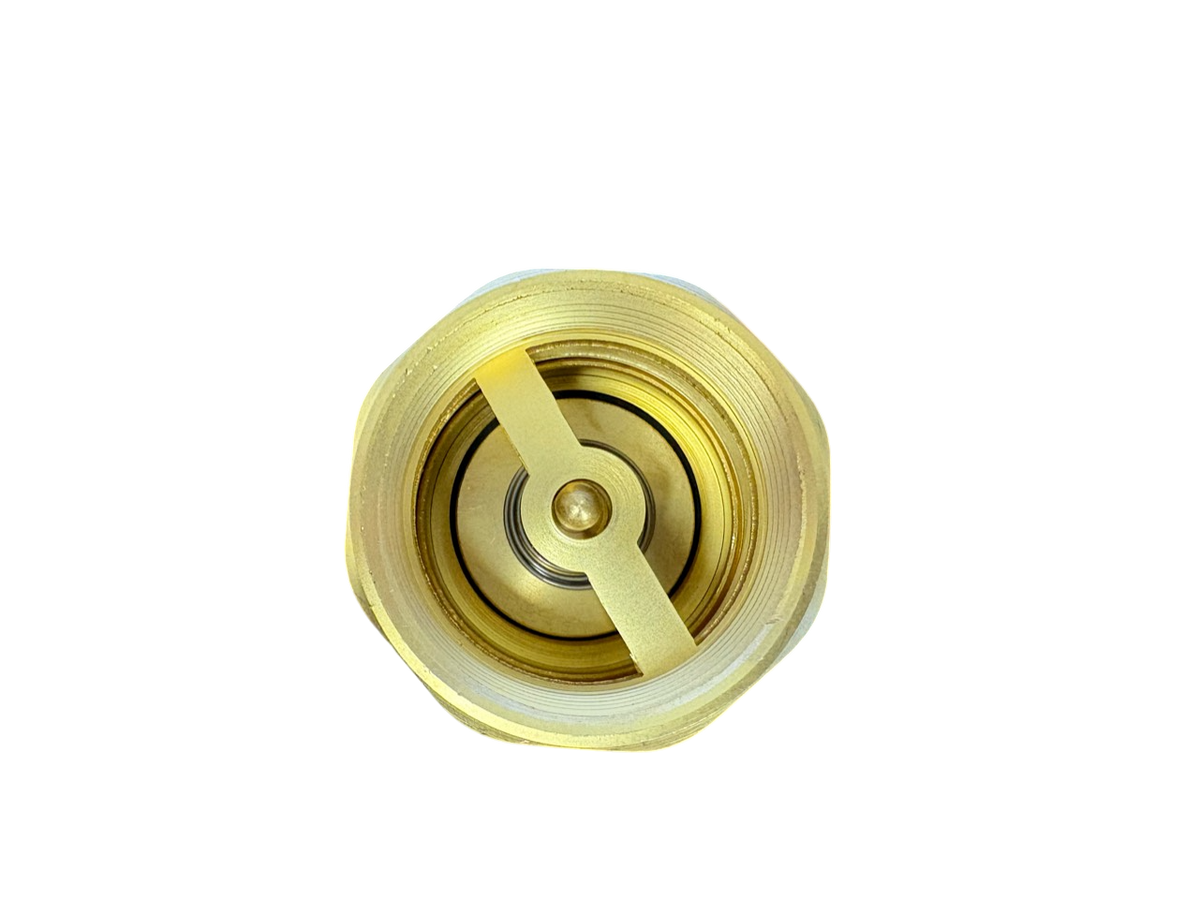 Brass Spring Check Valve Kit – Two Hose Tails, 13–50mm