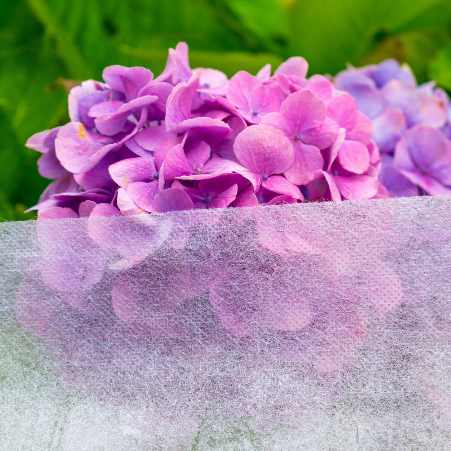 30gsm Heavy Duty Plant Protection Fleece Fabric