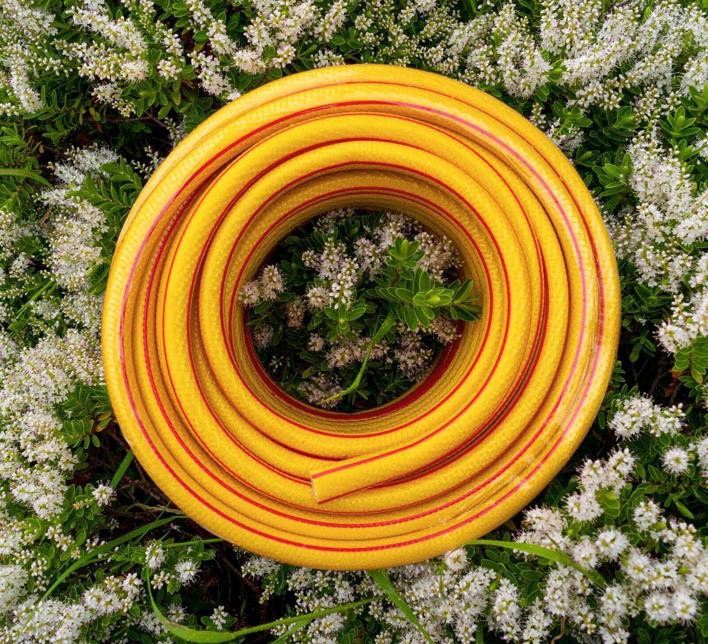 Premium Yellow 1/2" Garden Hosepipe with Connectors