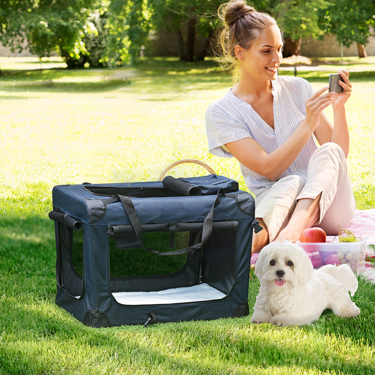 PawHut Foldable Pet Carrier for Small Pet Travel 60 x 41.5 x 41cm - Dark Blue