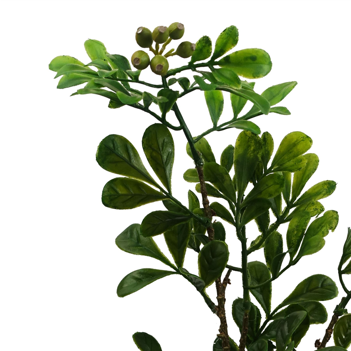 Artificial Aglaia Odorata Bonsai Ficus Tree 45cm