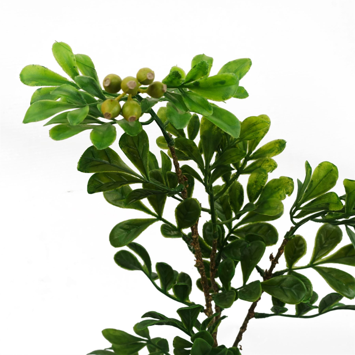 Artificial Aglaia Odorata Bonsai Ficus Tree 45cm