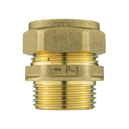Brass Compression Adapter – 22mm Pipe × ¾″ BSP Male