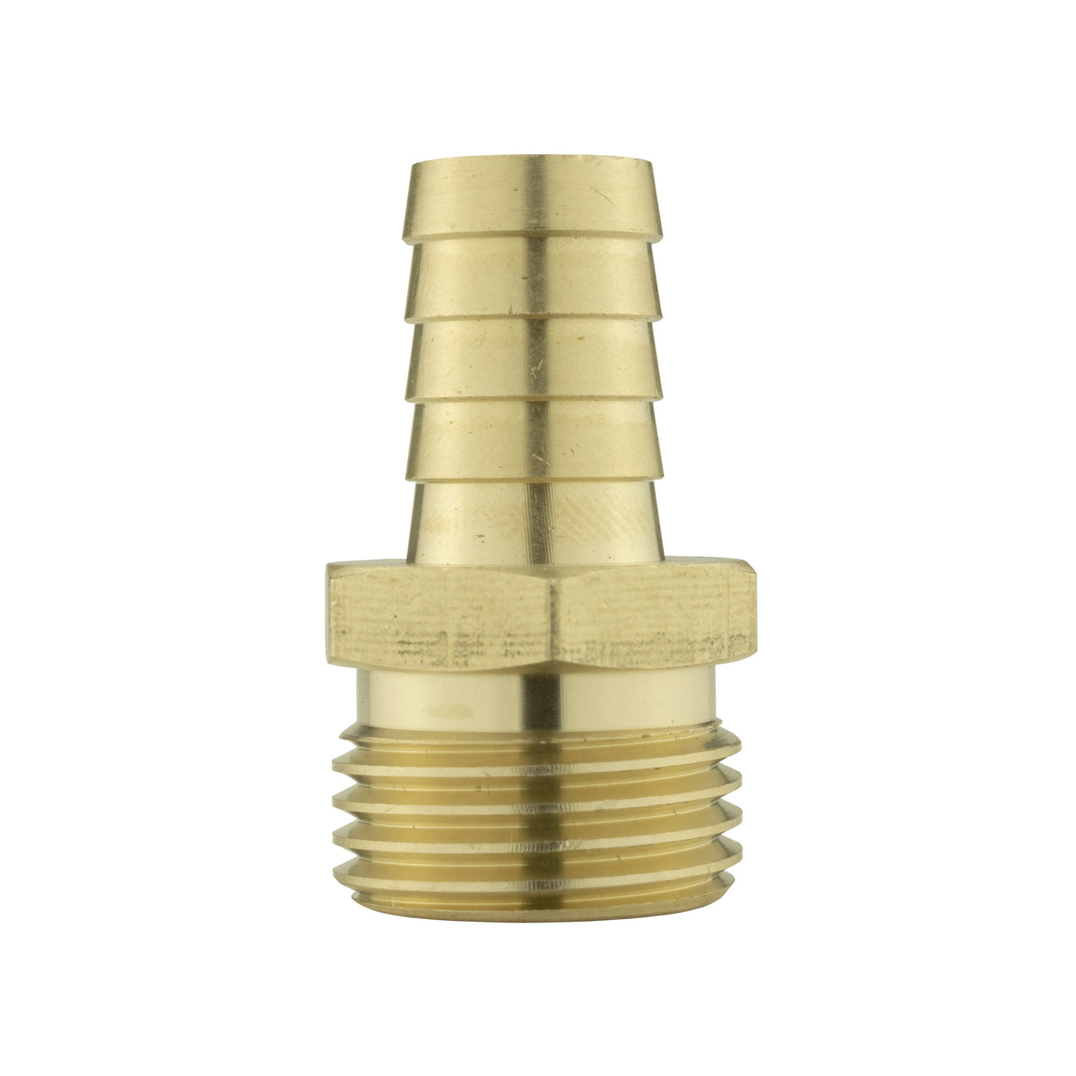 Brass Hose Tail Adapter – 13mm Barb × ½″ BSP Male