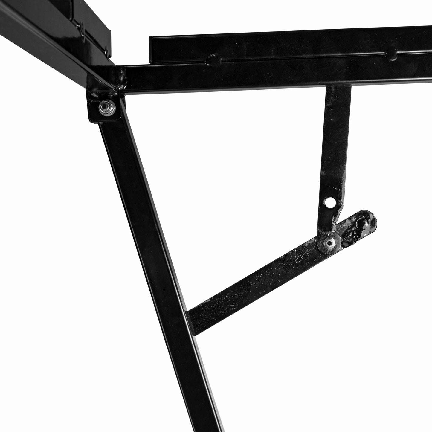 Blue Dog Bath with Drain Valve (WL) and Stand