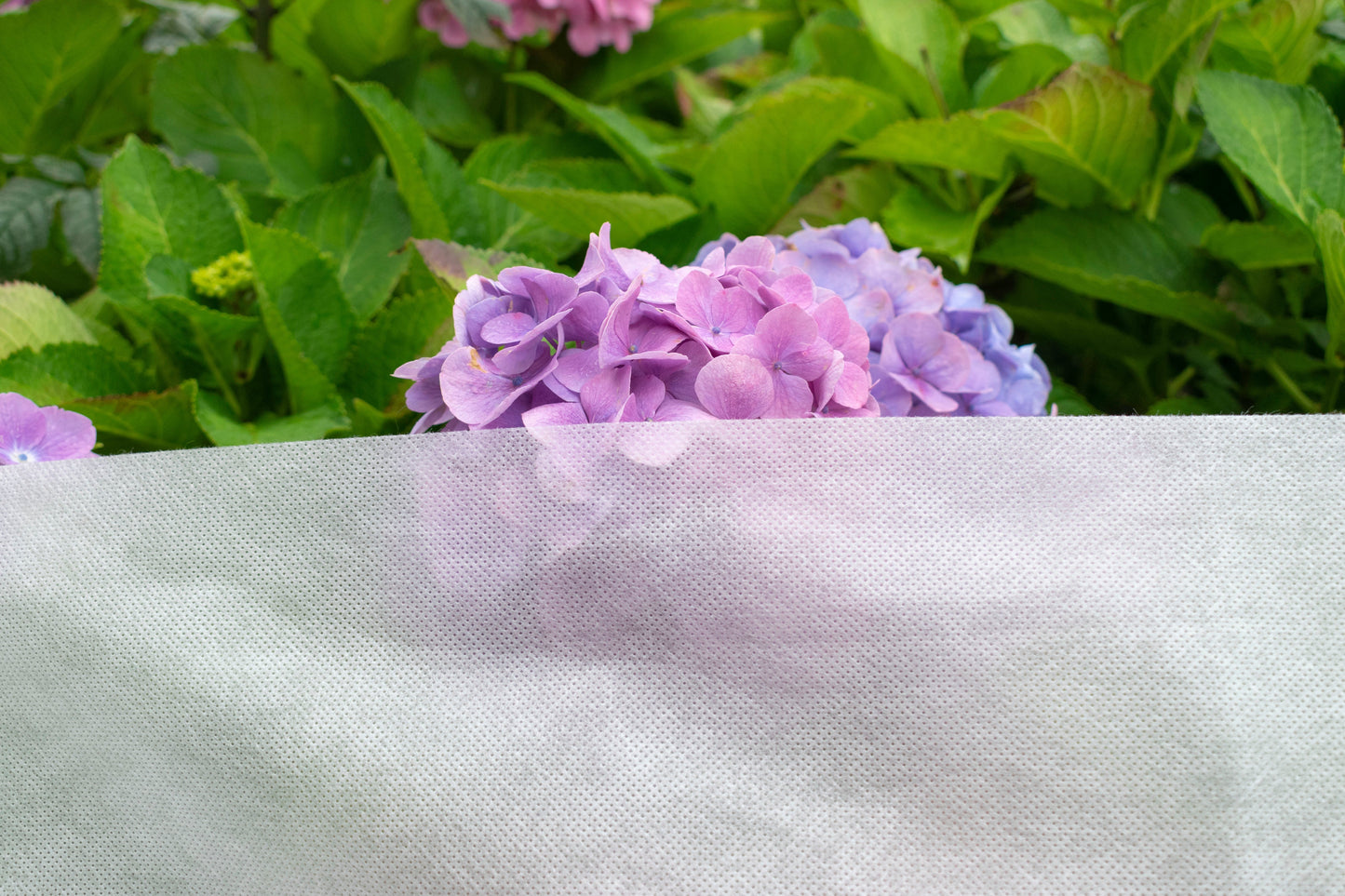 50gsm Frost Protect Fleece 1.1m x 5m