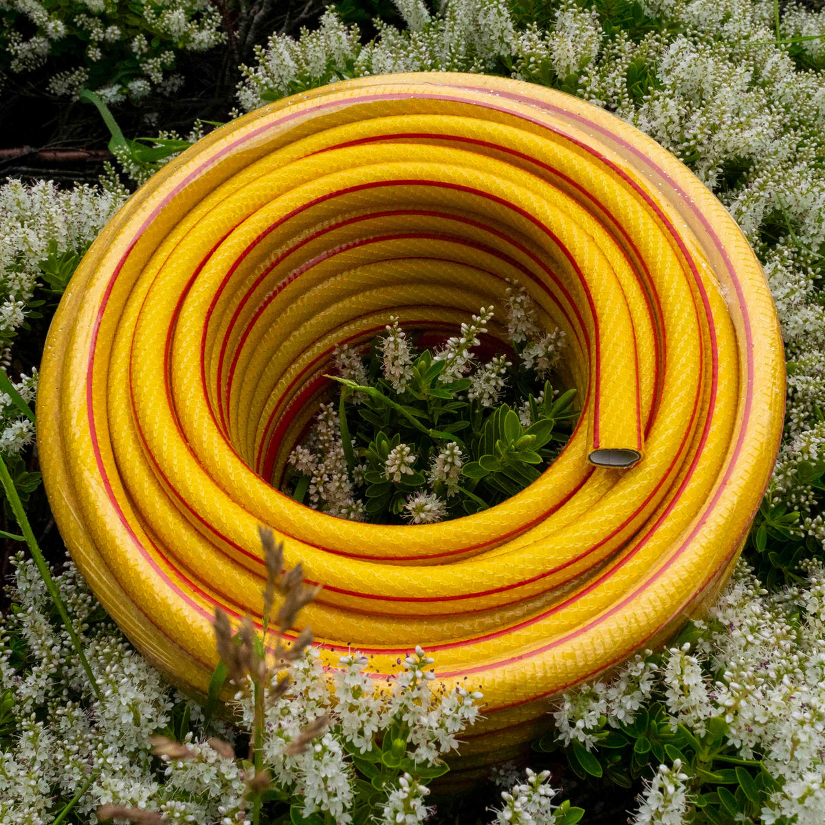 Yellow ½″ Garden Hose Kit with Two Geka-Type Claw Fittings