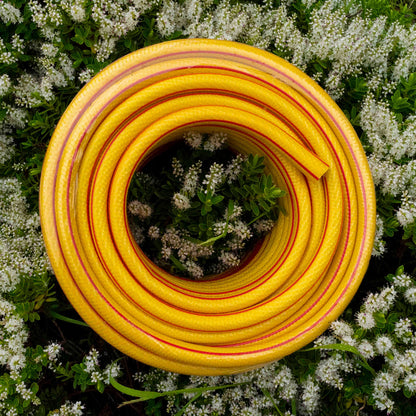 Yellow 6-Layer Heavy Duty 1/2" Hose Pipe (1m - 100m)