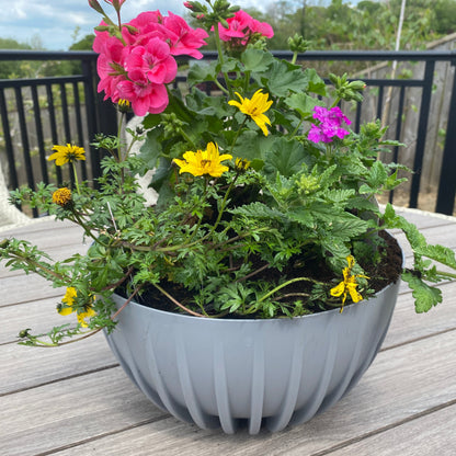 Mira Bowl Plant Pot with Insert and Drainage Hole, Grey