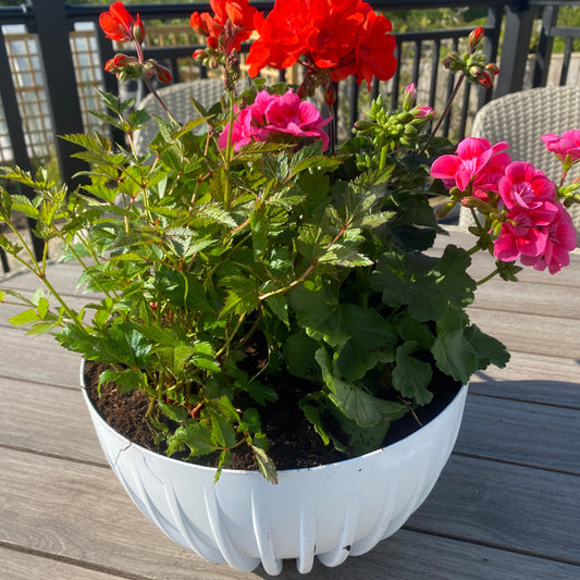 Mira Bowl Plant Pot with Insert and Drainage Hole, White