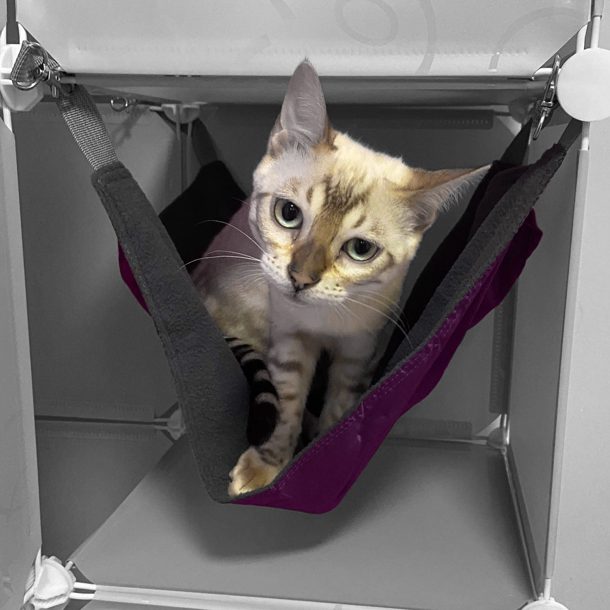 Kitty Cubby Maxi Cat Play Tower with Scratcher & Hammock