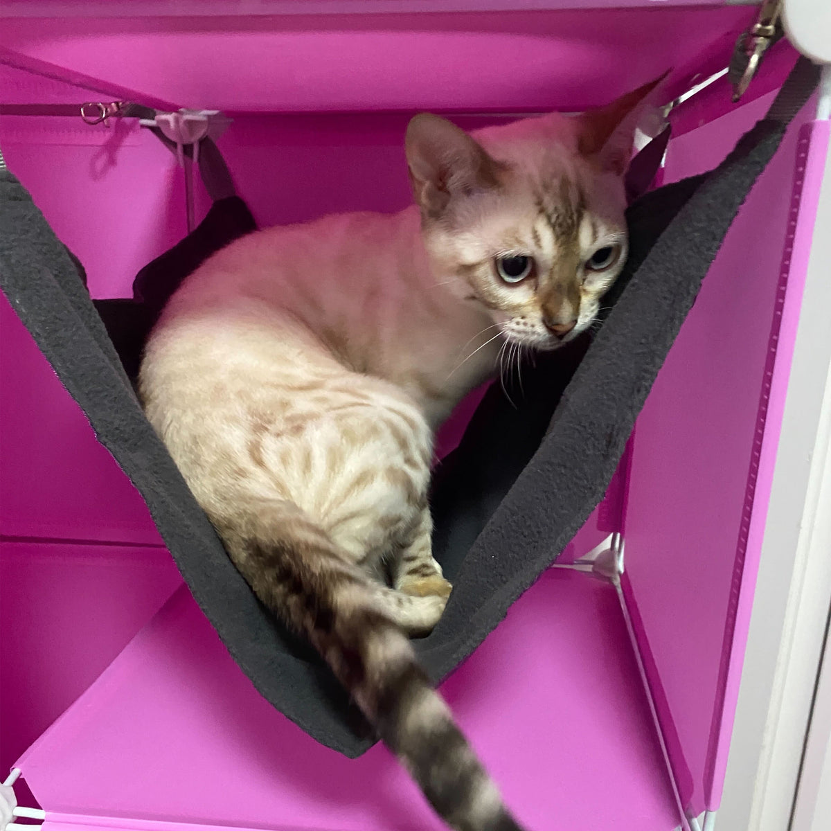 Kitty Cubby Maxi Cat Play Tower with Scratcher & Hammock