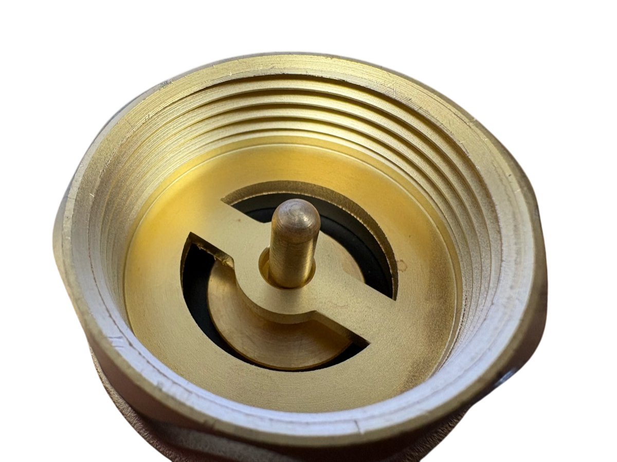 Brass Spring Check Valve Kit – Two Hose Tails, 13–50mm