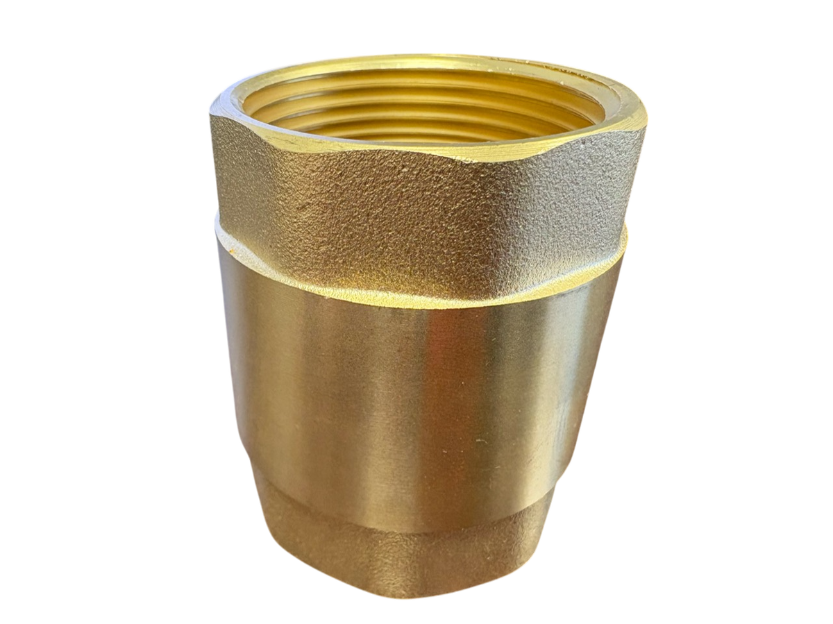 Brass Spring Check Valve Kit – Two Hose Tails, 13–50mm