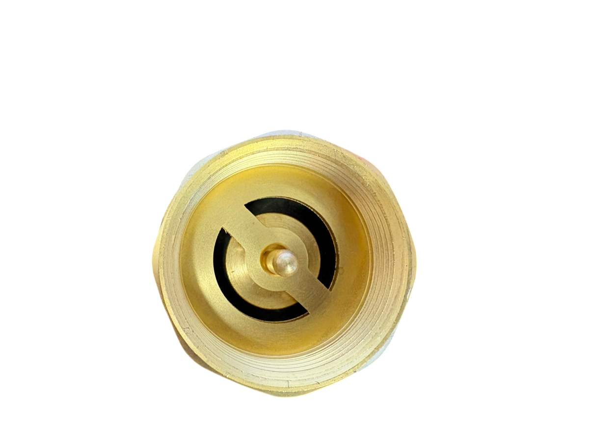Brass Spring Check Valve Kit – Two Hose Tails, 13–50mm
