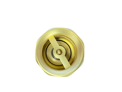 Brass Spring Check Valve Kit – Two Hose Tails, 13–50mm