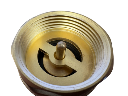Brass Spring Check Valve Kit – Two Hose Tails, 13–50mm