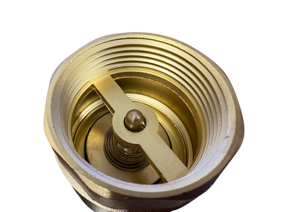 Brass Spring Check Valve Kit – Two Hose Tails, 13–50mm