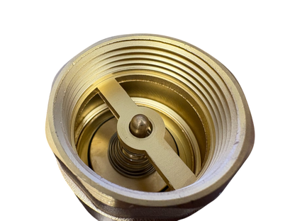 Brass Spring Check Valve Kit – Two Hose Tails, 13–50mm
