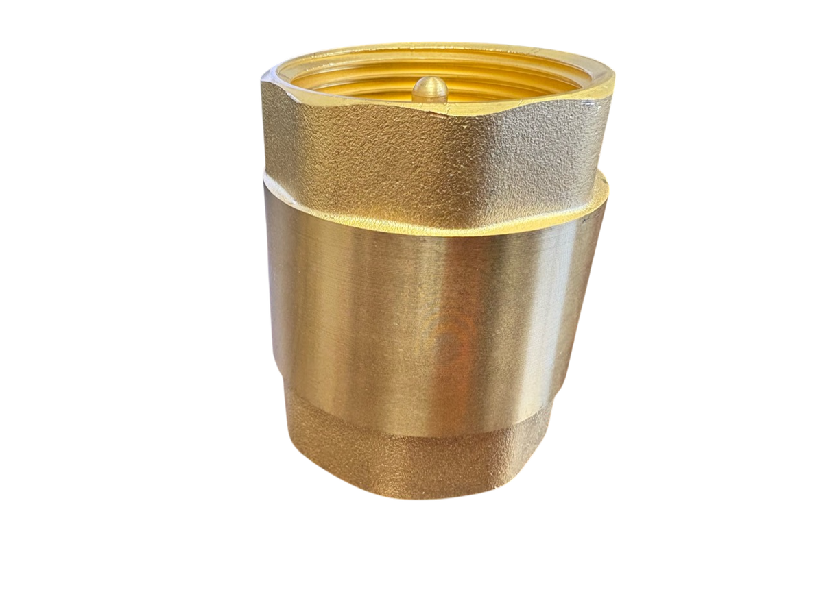 Brass Spring Check Valve Kit – Two Hose Tails, 13–50mm