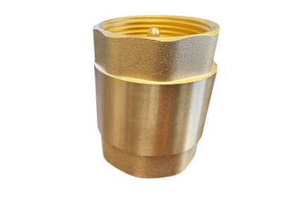 Brass Spring Check Valve Kit – Two Hose Tails, 13–50mm