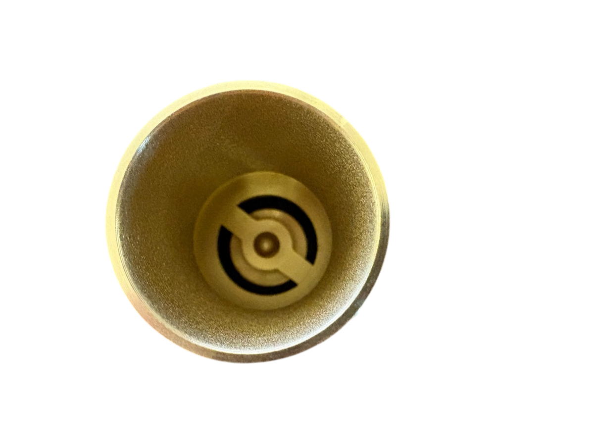 Brass Spring Check Valve Kit – Two Hose Tails, 13–50mm
