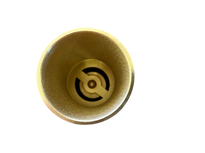 Brass Spring Check Valve Kit – Two Hose Tails, 13–50mm