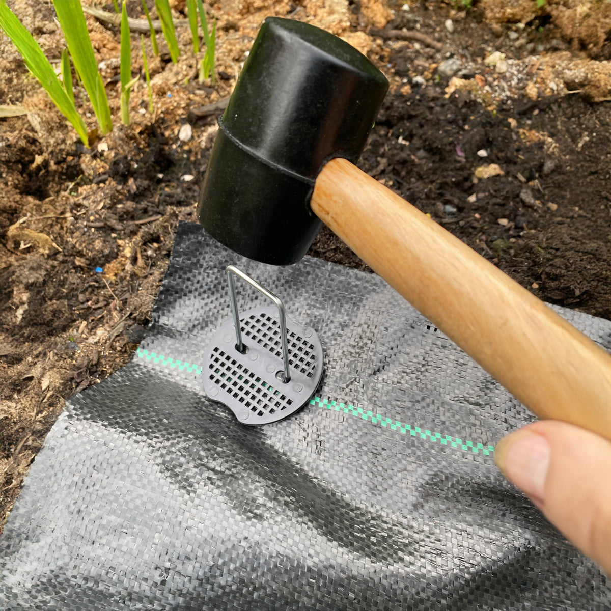 150mm Weed-Membrane Peg & Plate Kit – Mallet and Red Puller