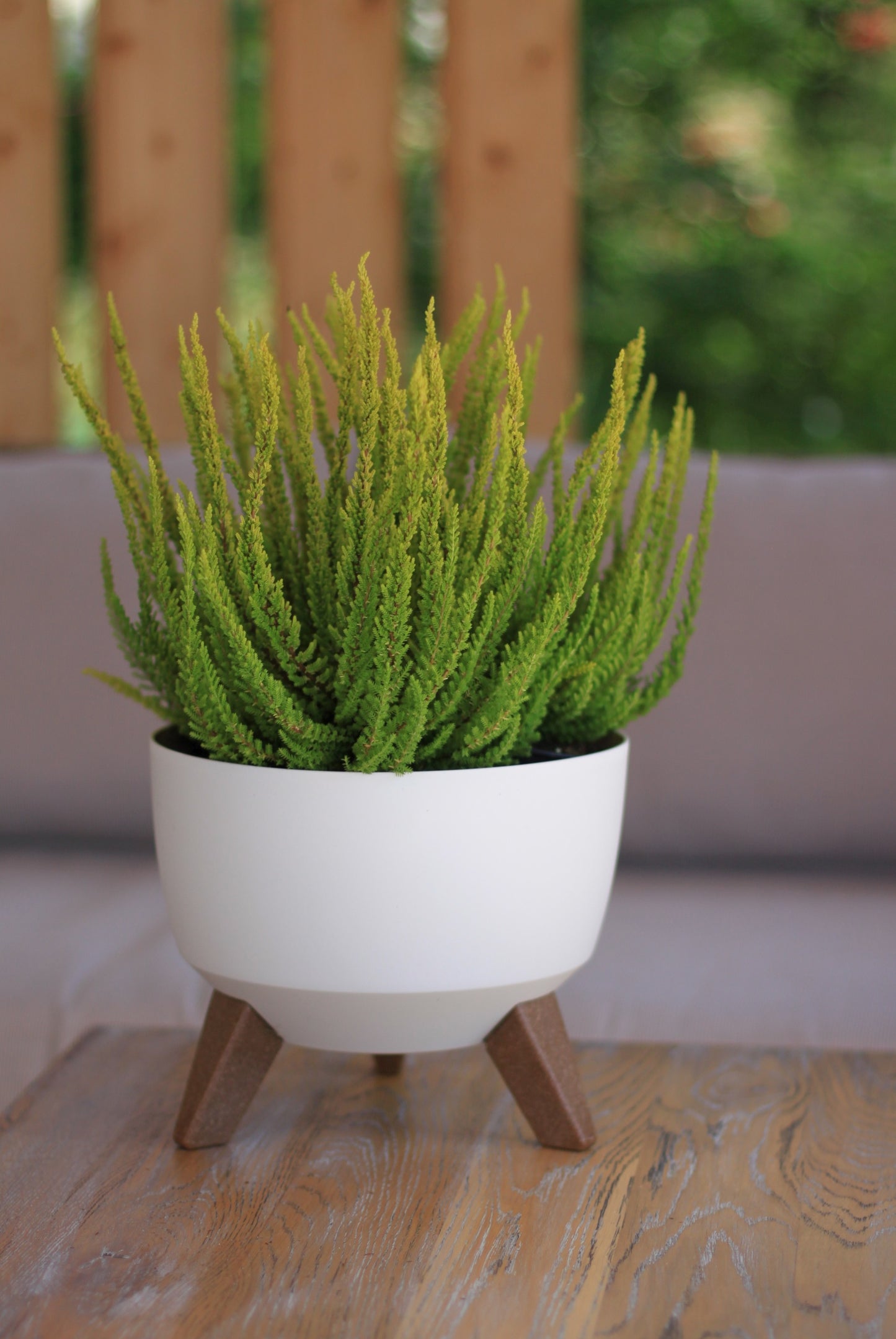 Roma Bowl Plant Pot with Legs, Insert and Drainage Hole (White)