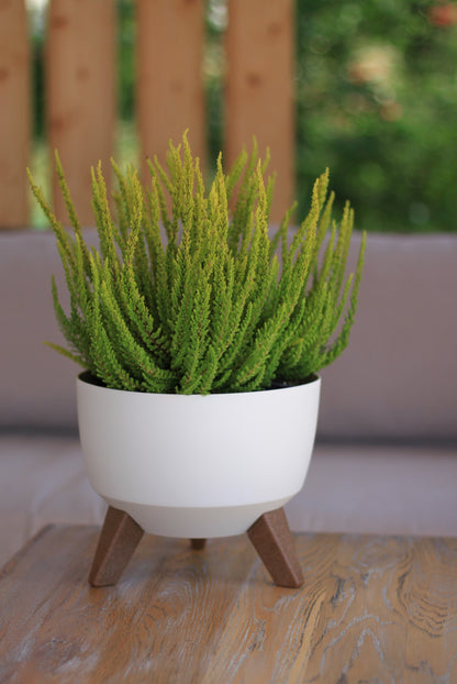Roma Bowl Plant Pot with Legs, Insert and Drainage Hole (White)