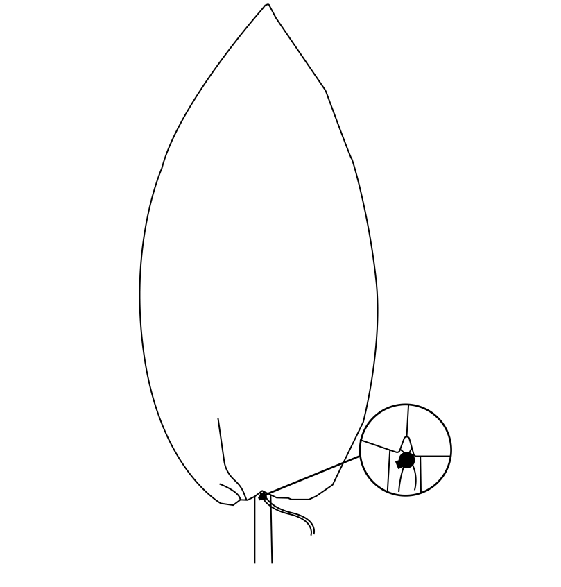 50g/m² Plant Fleece Hood with Drawstring – 1.25 × 2m
