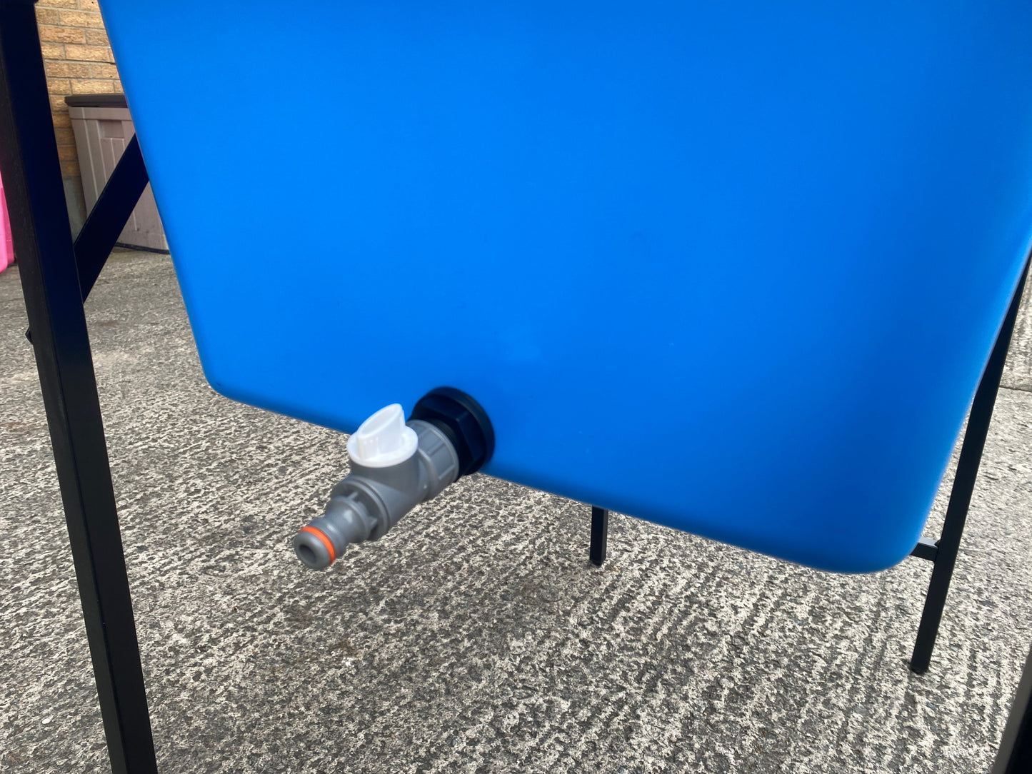 Blue Dog Bath with Drain Valve (WL) and Stand