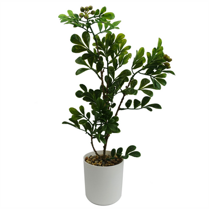 Artificial Aglaia Odorata Bonsai Ficus Tree 45cm