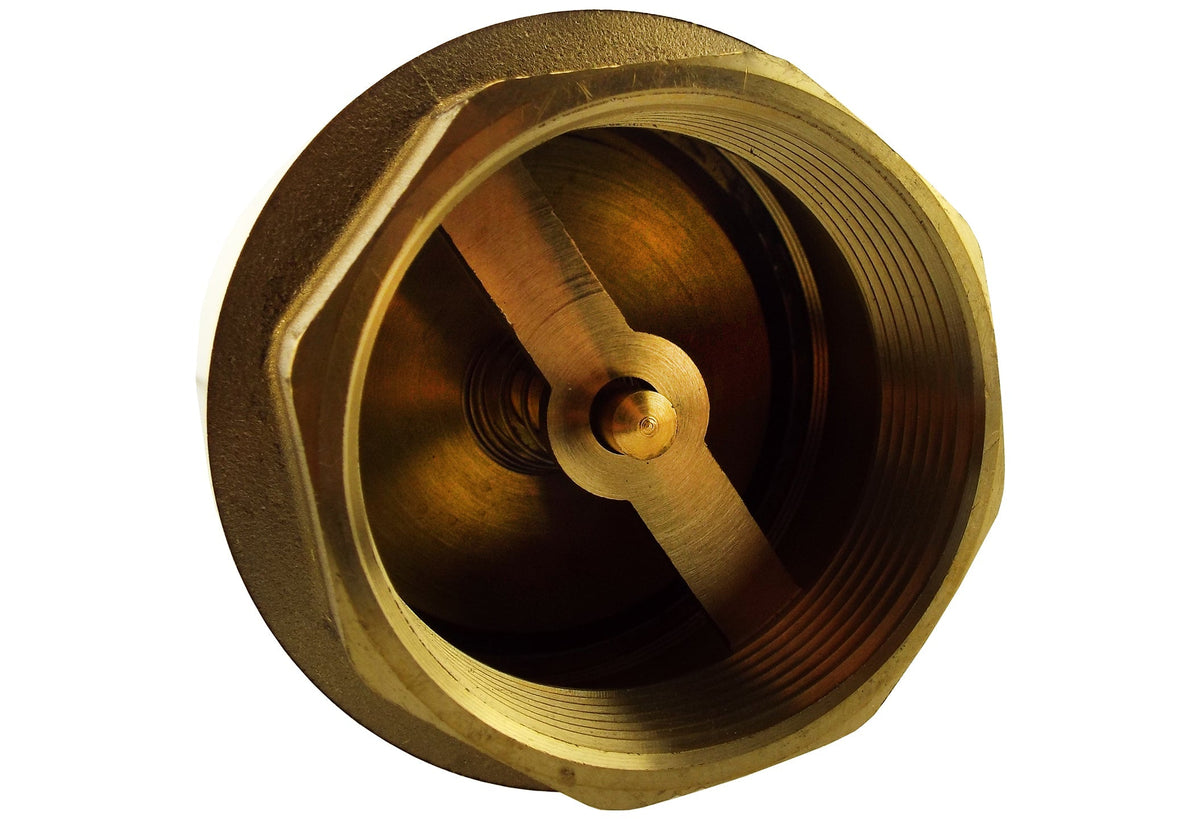 Brass Spring Check Valve – 1″ BSP Female, Non-Return